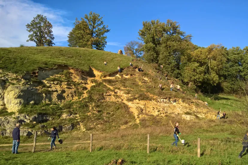 foto limburg mooier groen