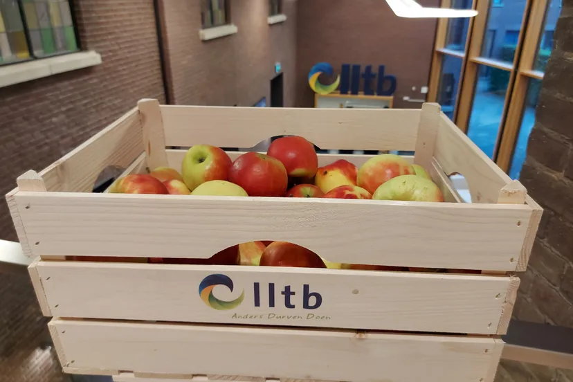 fruit lltb1