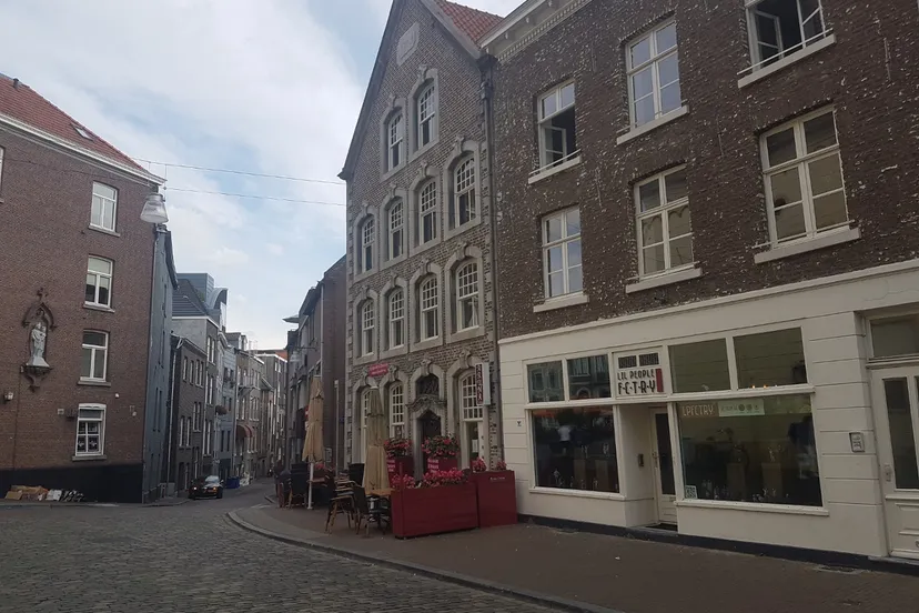 gebaortehoes henry luyten guus3