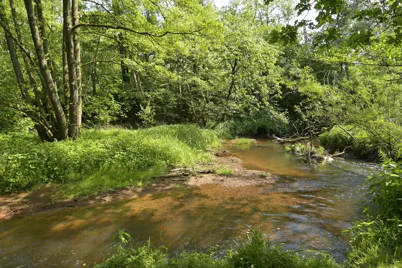 gelderns nierskanaal hli5481 henk heijligers