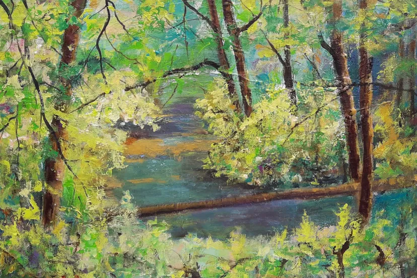 geldernsch nierskanaal toos verhaegh