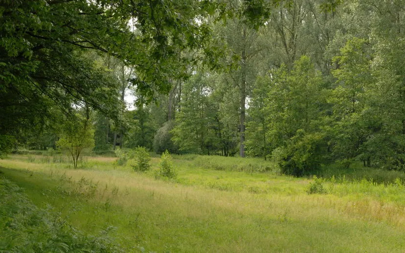 haelensbeekdal hli 9506 1