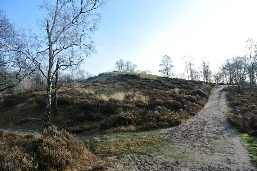 heden en verleden lia oosterwijk