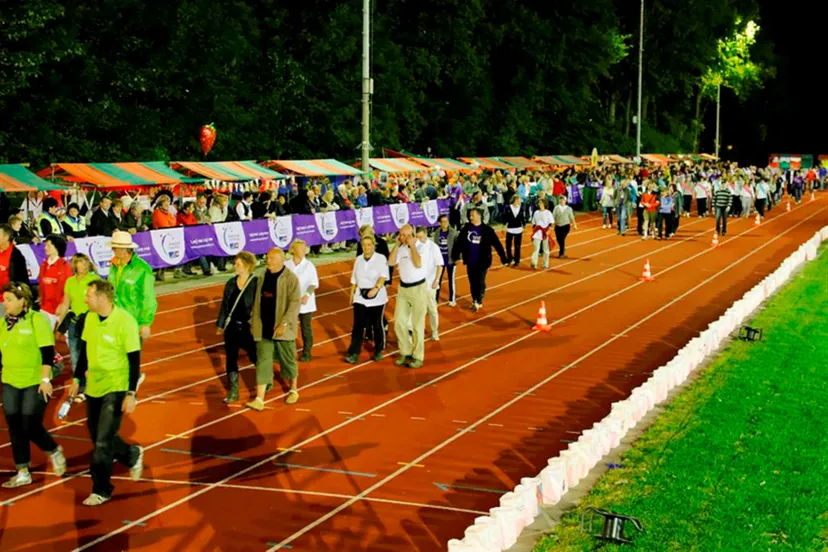 hoopleven2011b 60 large custom