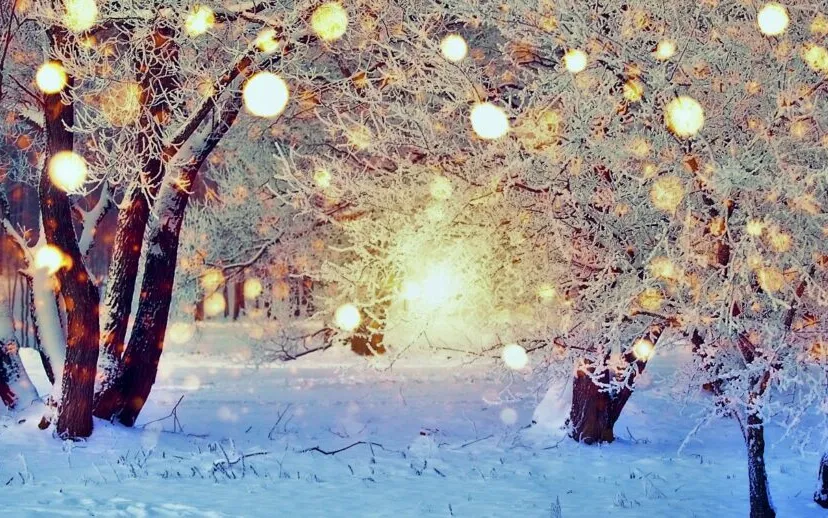 image001 1 915x518 1