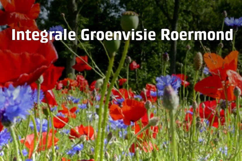 integrale groenvisie