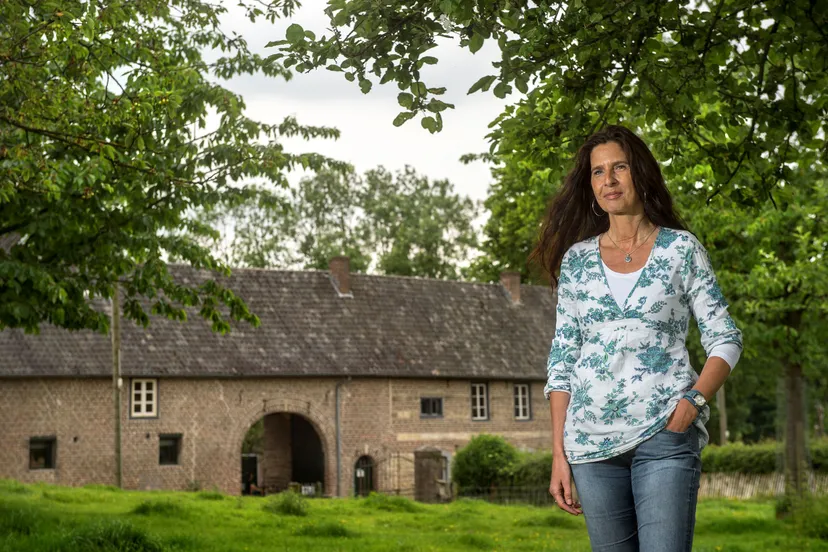 jt lucinda lodenstein 4404 l