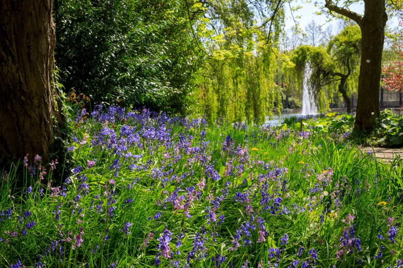 kasteeltuinen arcen voorjaar 2