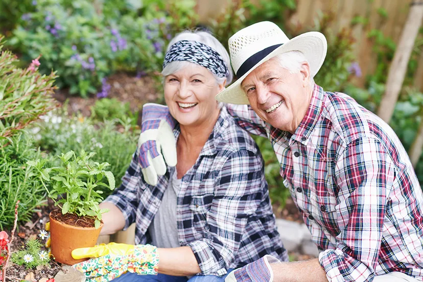 kleinefoto sihg compleet