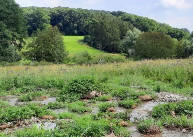 natuurkracht graften helling 640x457 1