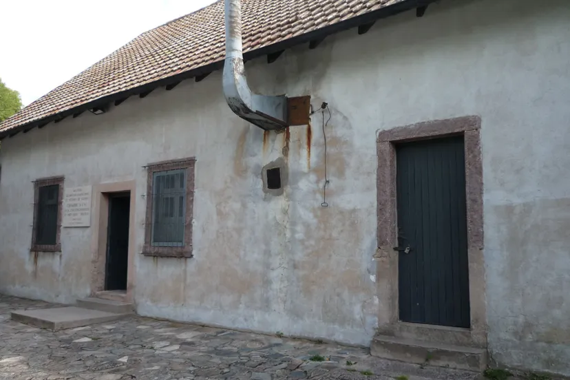 passmann vogelsang henri 2