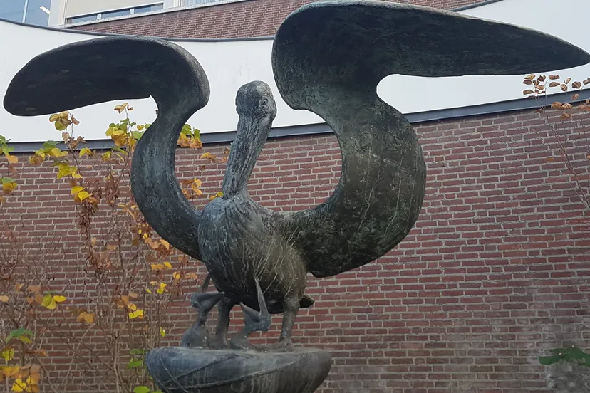 peliwong 1 e1604817746986