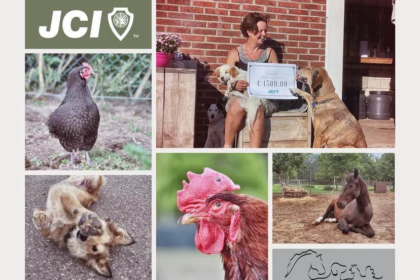 persbericht jci roermond