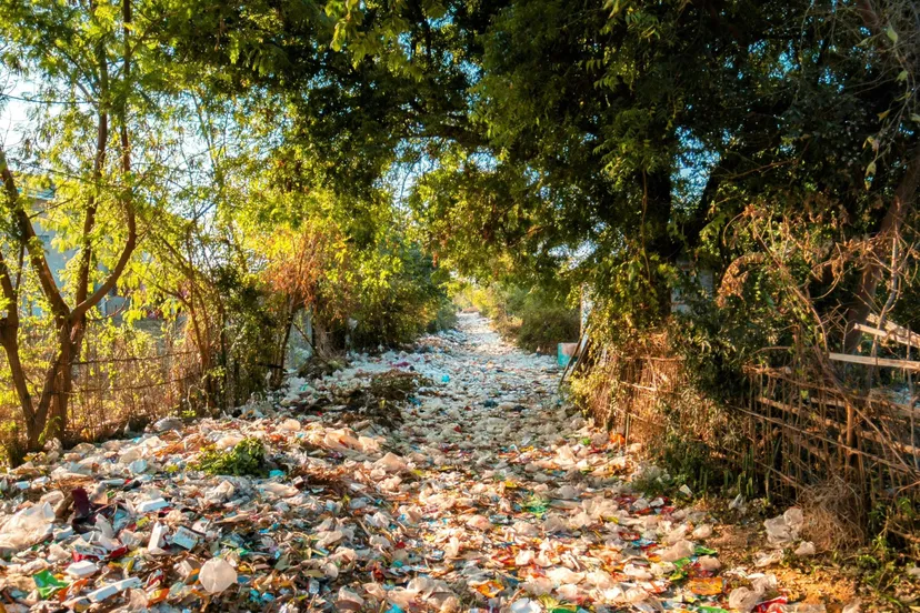 pexels stijn dijkstra 1306815 25838364