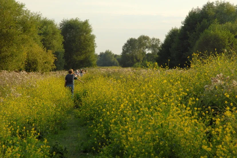 romeinenweerd henk heijligers