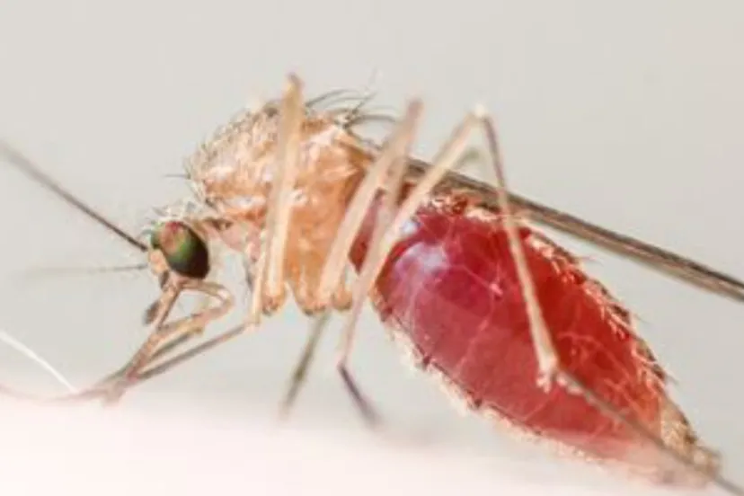 screenshot 20240708 170306 photos2