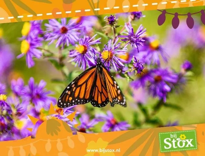 screenshot 20240730 090957 whatsapp