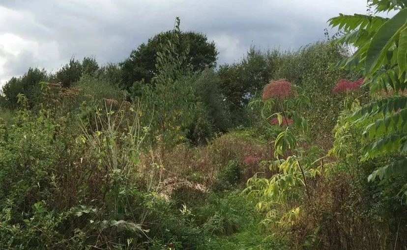 slider bos 1200x509 1