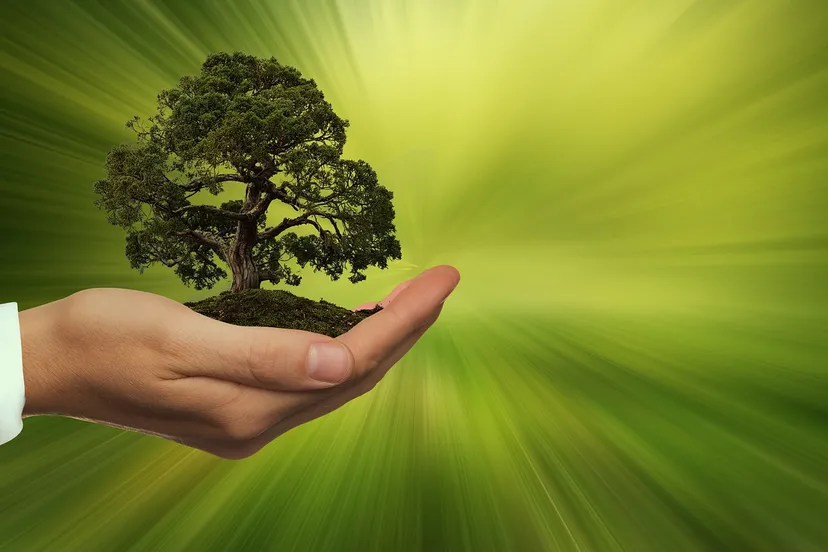 sustainability 3303398 1920