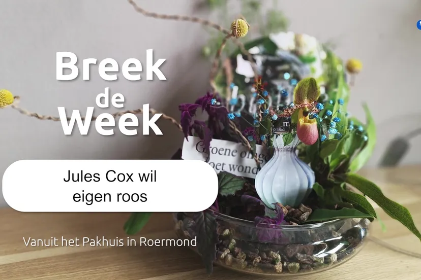 th floraal talent derde bij bloem blad award breek de week