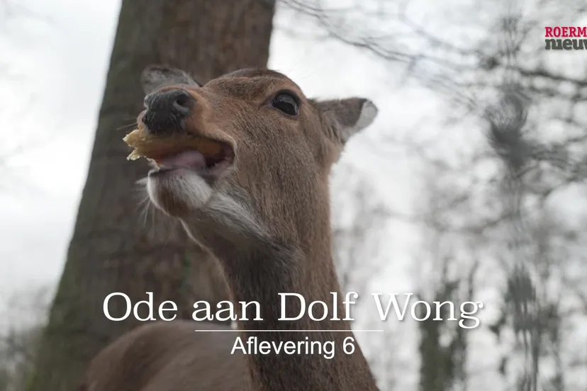 th rmntv ode aan dolf wong aflevering 6 24 01 2024