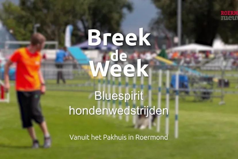 th thijs en bram uit herten zijn dol op wedstrijden met honden breek de week