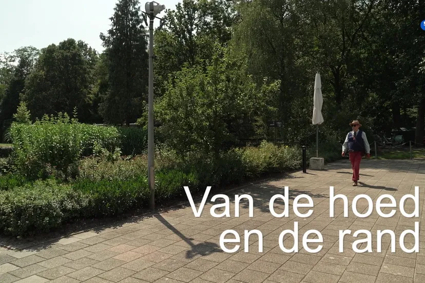 th van de hoed en de rand zwembad bosberg eric dumas wereldkampioen livesaving 17 07 2024