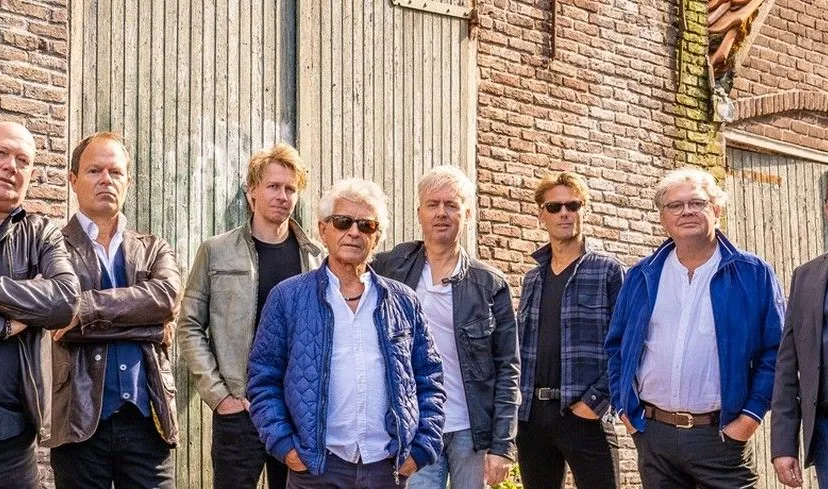 the tribute to the cats band