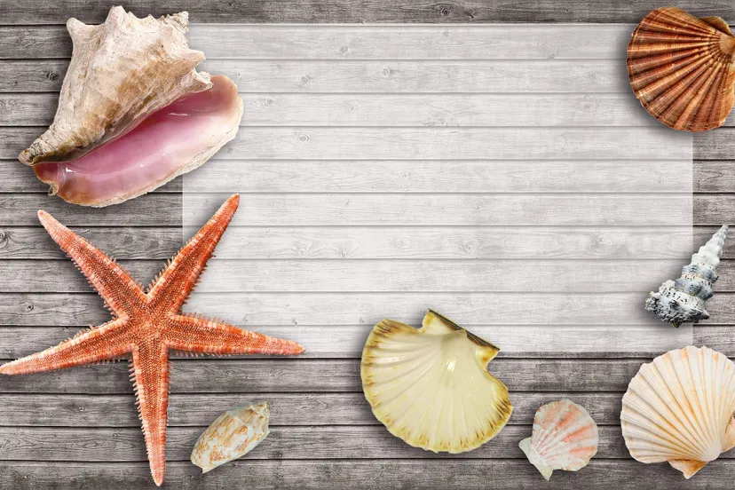 vacations 2478135 1920