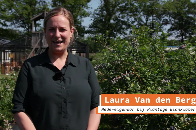 vlcsnap 2021 07 03 17h08m02s604