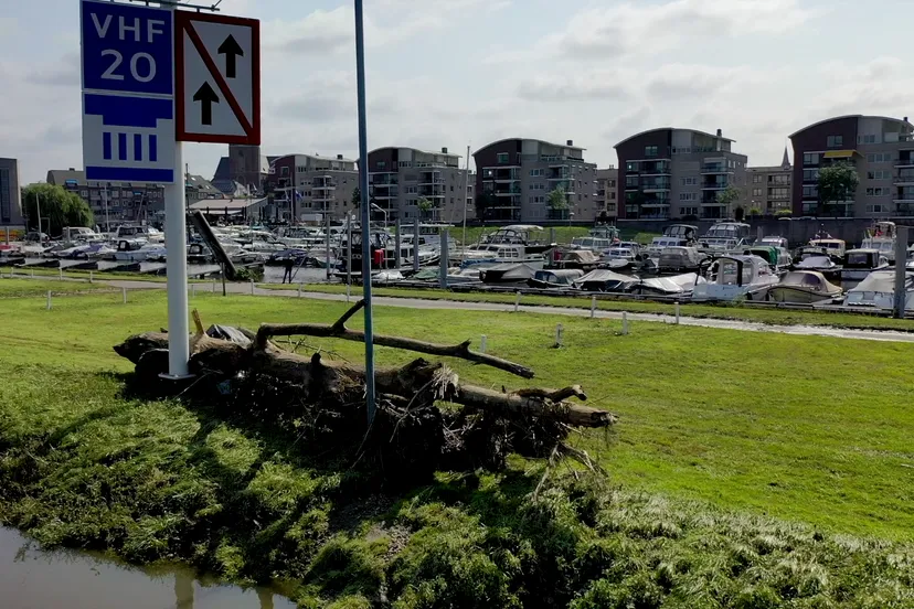 vlcsnap 2021 08 09 18h09m03s644