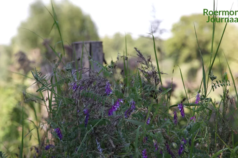 vlcsnap 2021 09 12 07h38m26s988