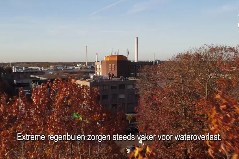 vlcsnap 2021 11 15 23h01m42s266