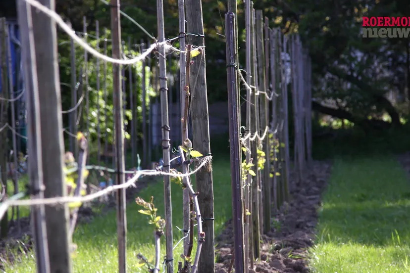 vlcsnap 2022 05 06 19h44m58s657