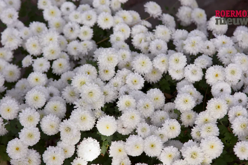 vlcsnap 2022 10 29 07h47m43s130