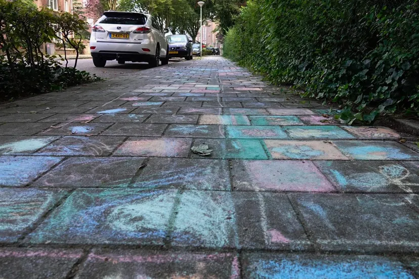 whatsapp image 2021 09 09 at 113119