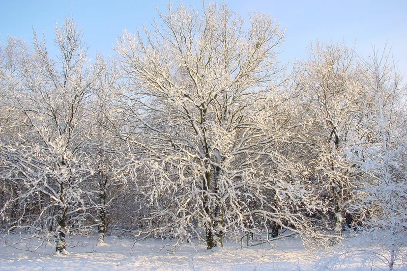 winterwandeling gerrit lenting