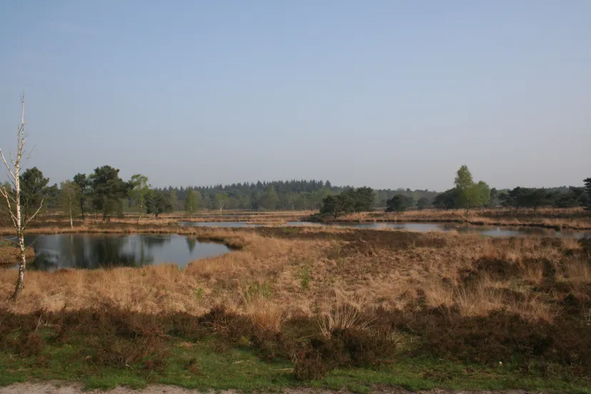 zevenboomsven lia oosterwijk