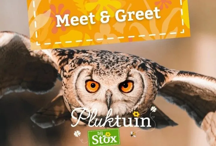 bijstox pluktuin uil gizmo