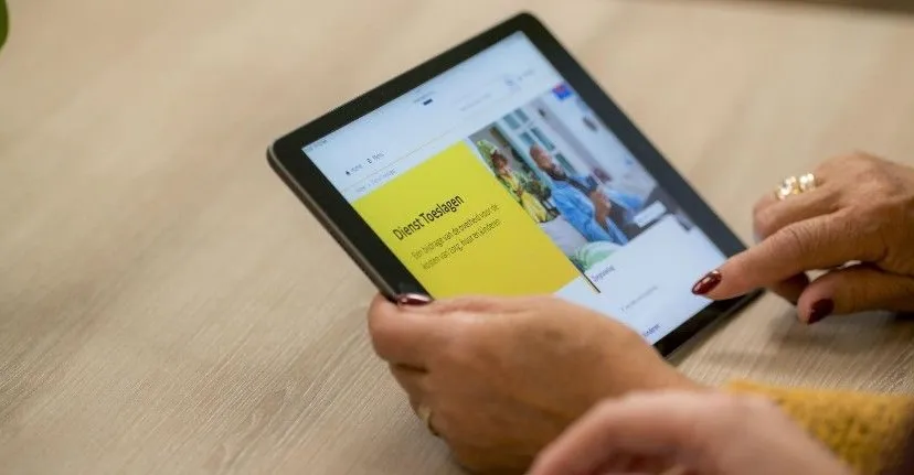 dienst toeslagen belastingdienst