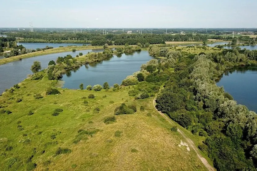 isabellegreend harrybussink