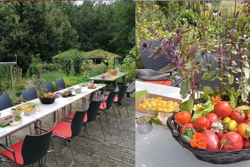 opentuin dag velt leudal