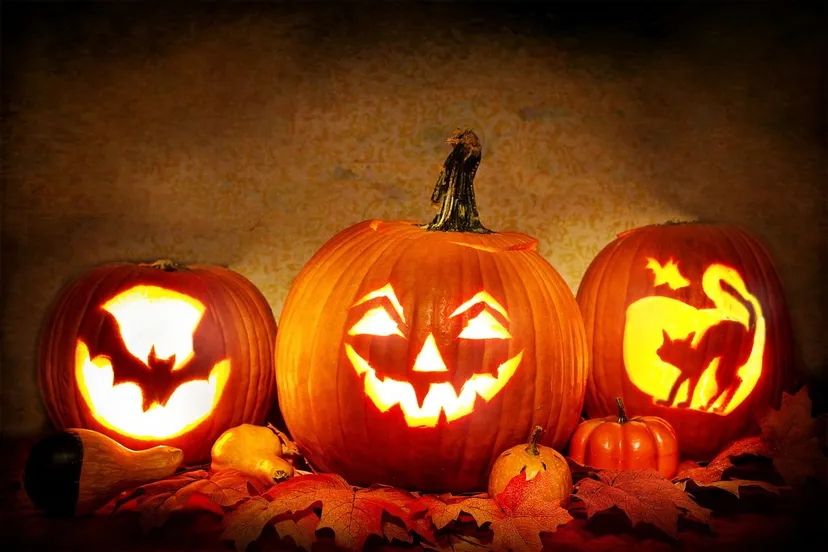 jack o lanterns 3735386 1280