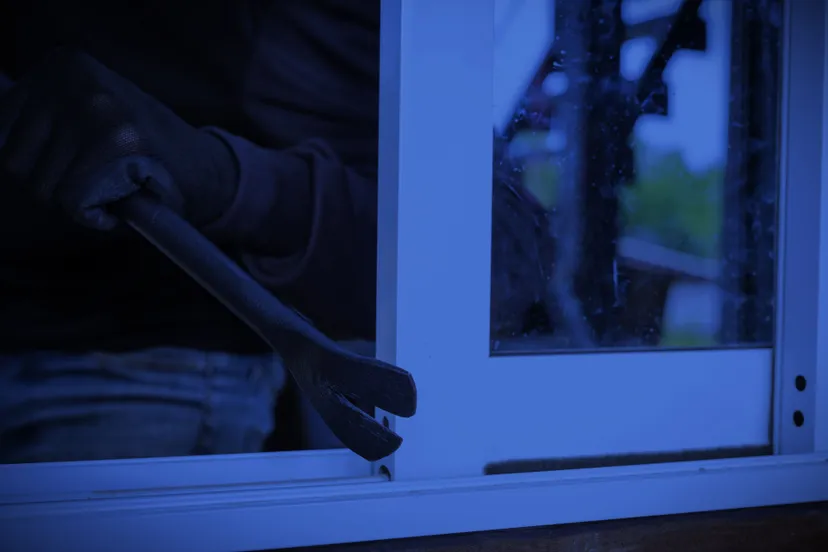 thieves wear black hats pry windows steal things