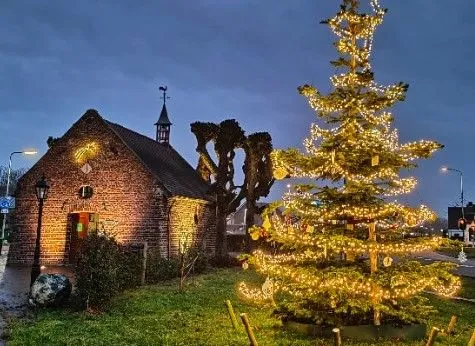 407483921 6901974306552319 5454385475139647380 n