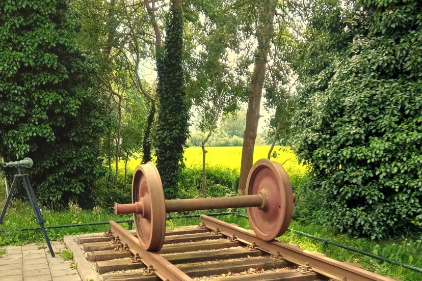 475241057 1177481744385009 171818413542828136 n