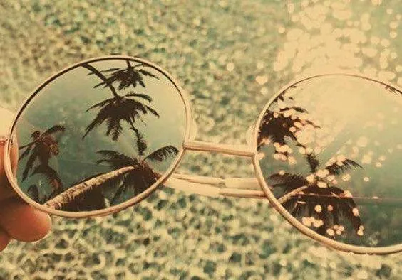 449786824 1017509420375061 7691312667179299426 n