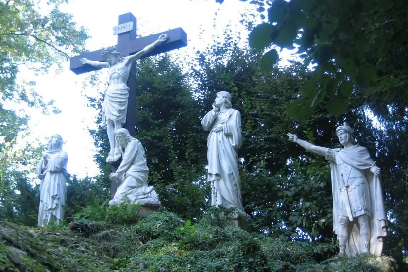 463334668 9230170533677886 3092538172173840229 n