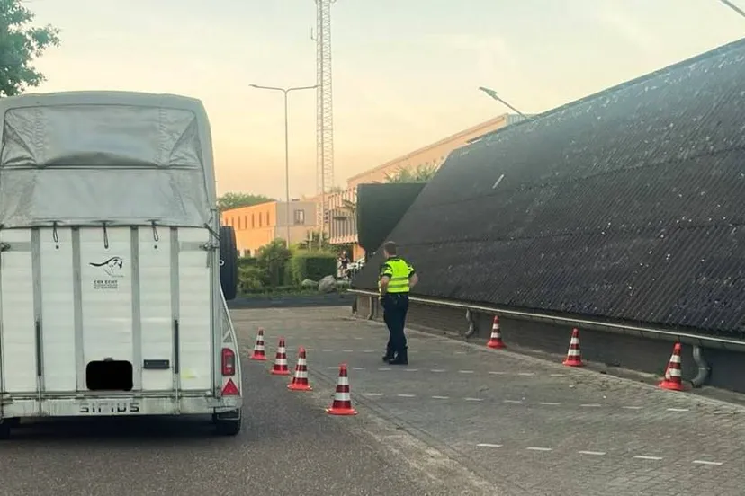 497717689 18399992890106360 6051006540801088211 n