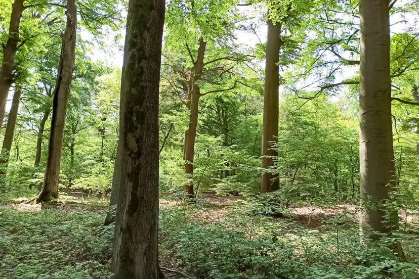 hemelvaartsdagfietstocht foto 1024x769